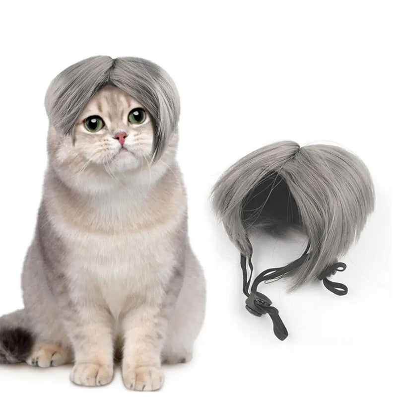 Funny Cat and Dog Cosplay Wig