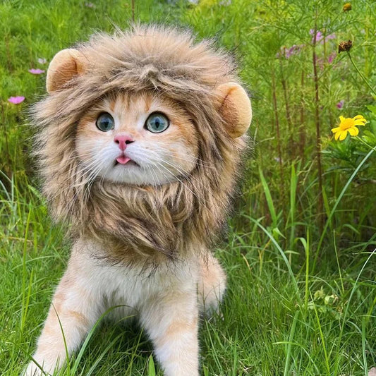 Lion Mane Cat Wig with Ears