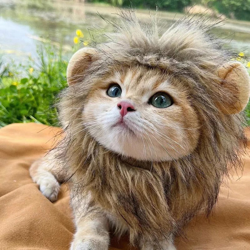 Lion Mane Cat Wig with Ears