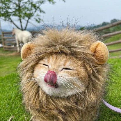 Lion Mane Cat Wig with Ears