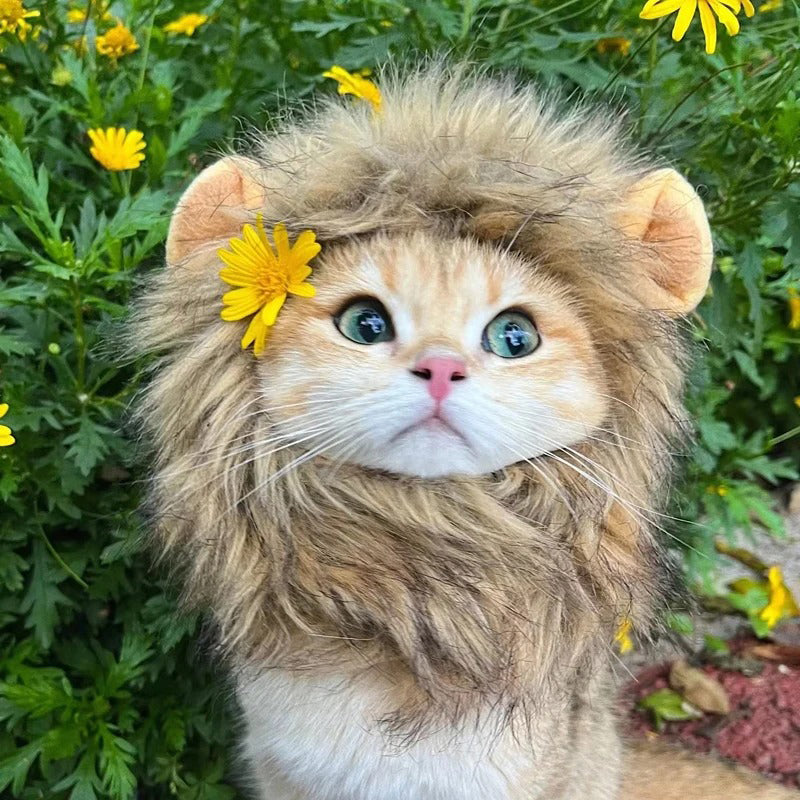 Lion Mane Cat Wig with Ears