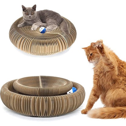 Magic Cat Scratcher Toy