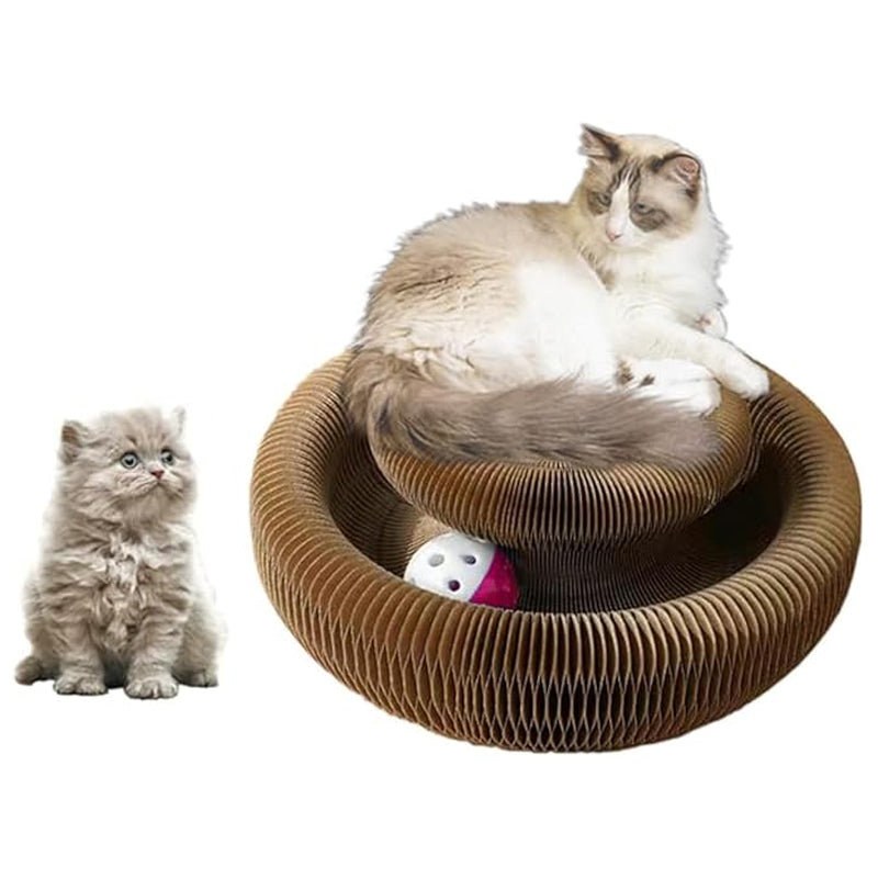 Magic Cat Scratcher Toy