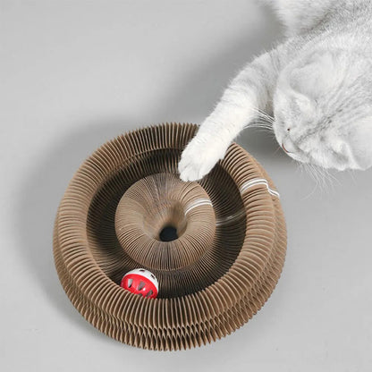 Magic Cat Scratcher Toy