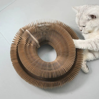 Magic Cat Scratcher Toy