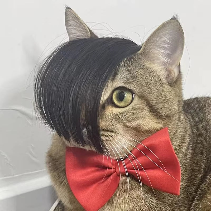 Pet Cosplay Wigs