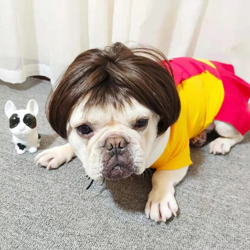 Pet Wigs for Dogs and Cats